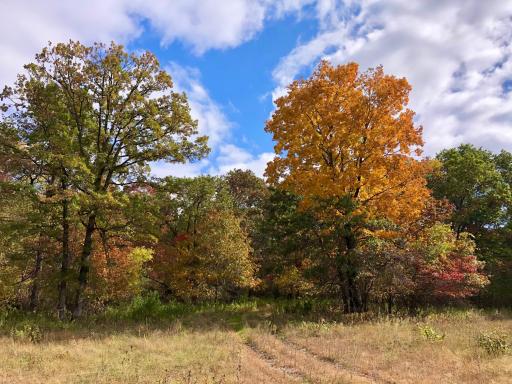 W3372 235th Avenue, Maiden Rock, WI 54750