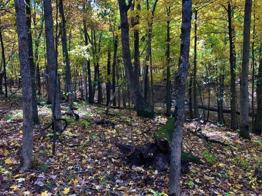W3372 235th Avenue, Maiden Rock, WI 54750