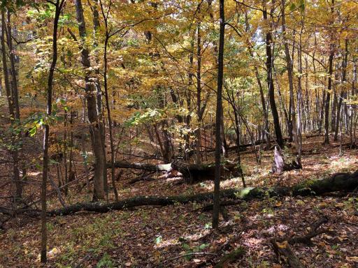 W3372 235th Avenue, Maiden Rock, WI 54750