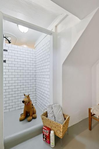Basement shower/dog wash