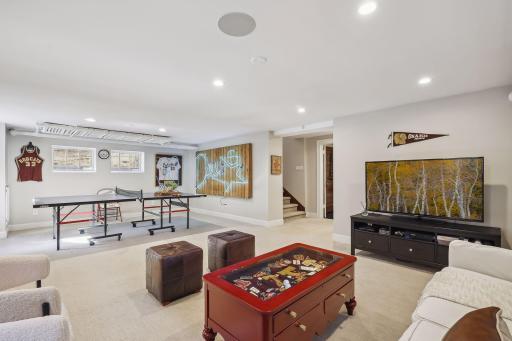 Basement entertainment room