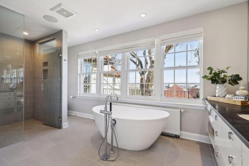 Primary full bath with Basilica and Minneapolis skyline views