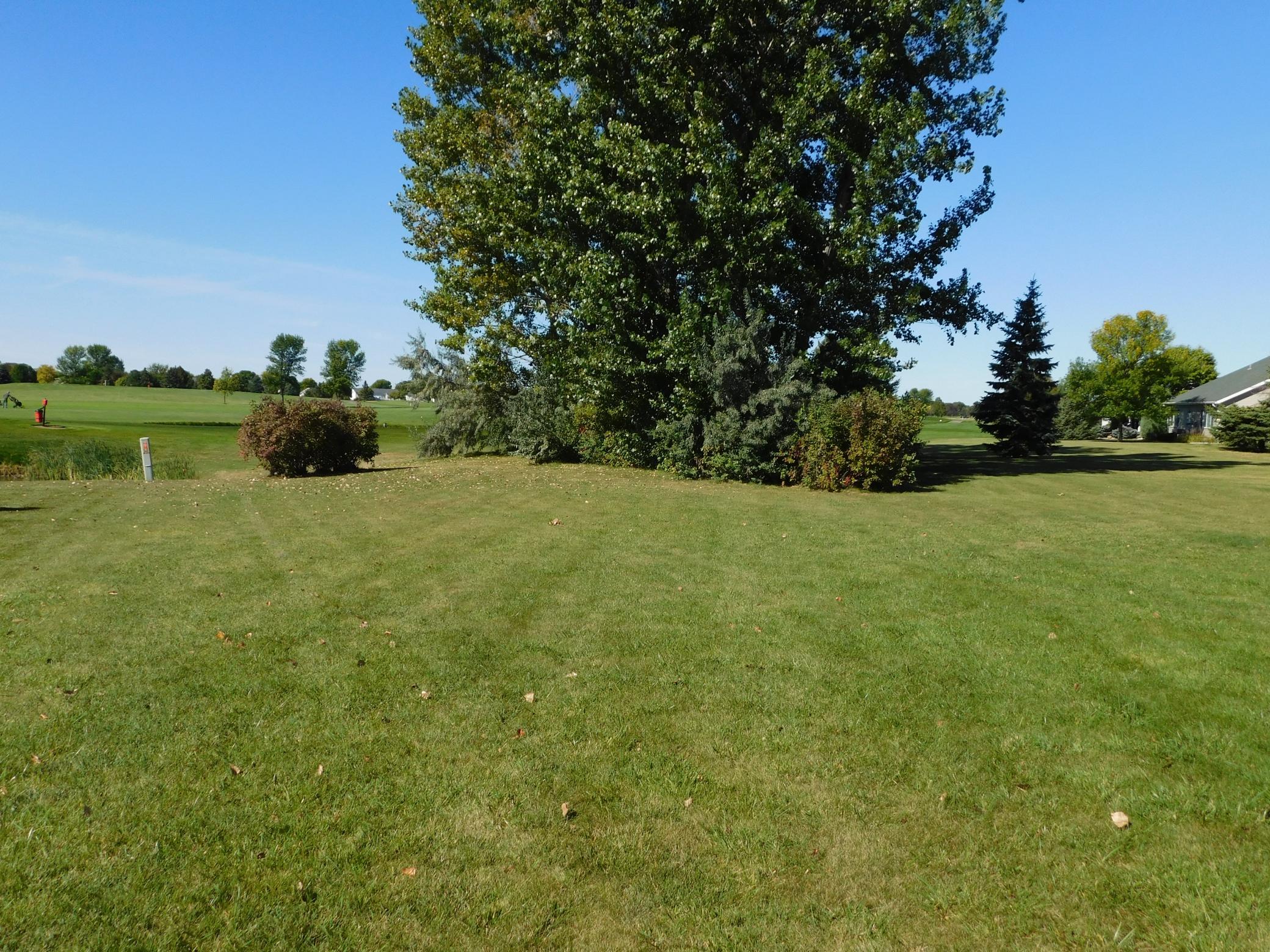 back yard