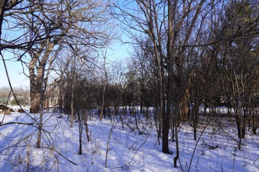 Photo for 7007 River Road, Inver Grove Heights, MN 55076 - Listing #6343759 7007 River Road, Inver Grove Heights, MN 55076
