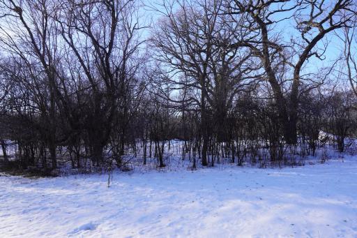 Photo for 7007 River Road, Inver Grove Heights, MN 55076 - Listing #6343759 7007 River Road, Inver Grove Heights, MN 55076