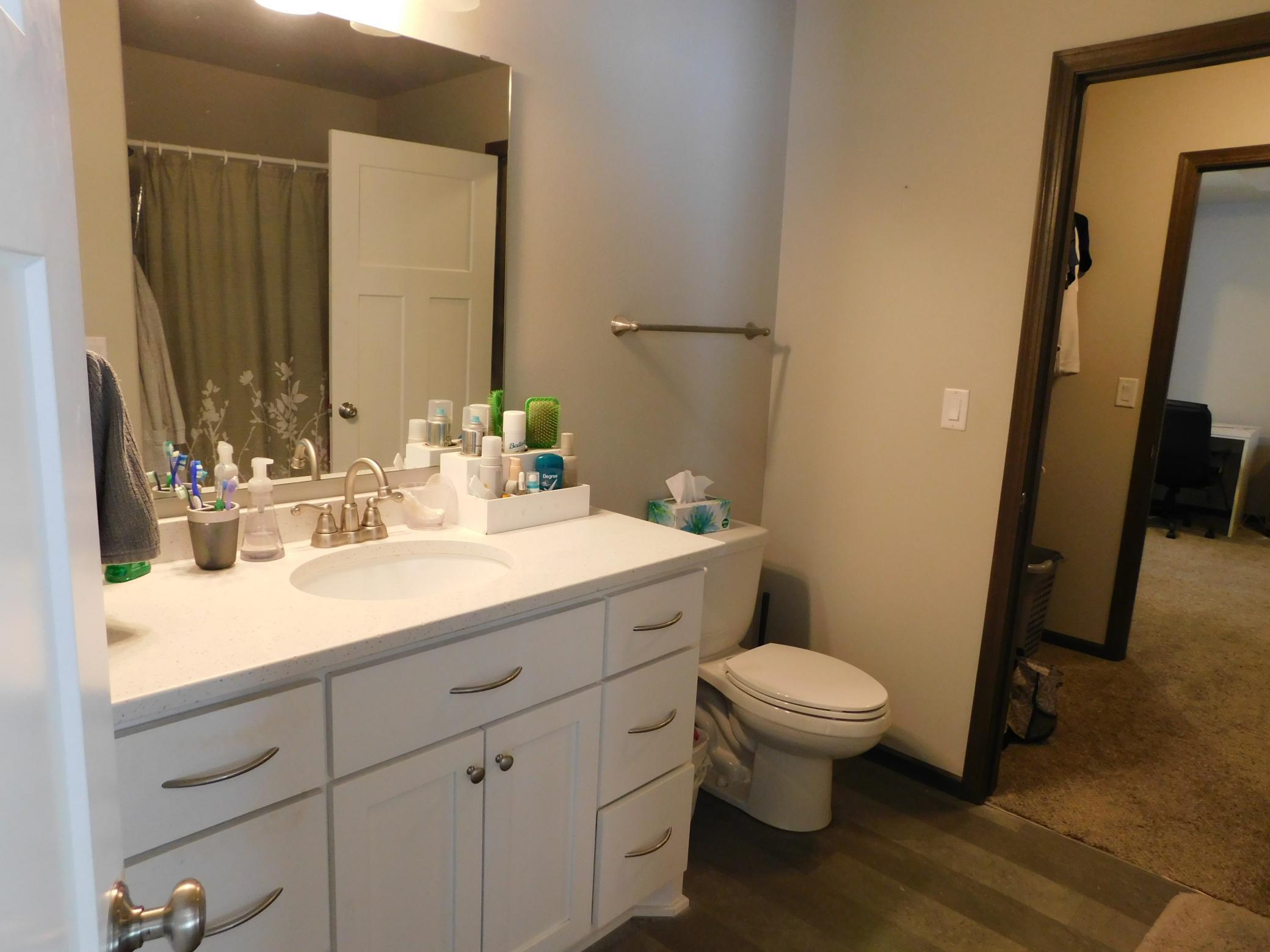 main bathroom (holly wood)