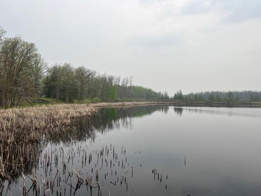 Shoreline to the North