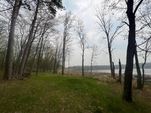 Nice clearing by the lake