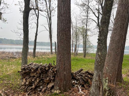 Great spot for a campfire