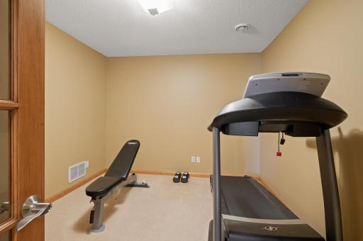 Bonus Room in Lower Level - ideal for workout room, office or toy room!