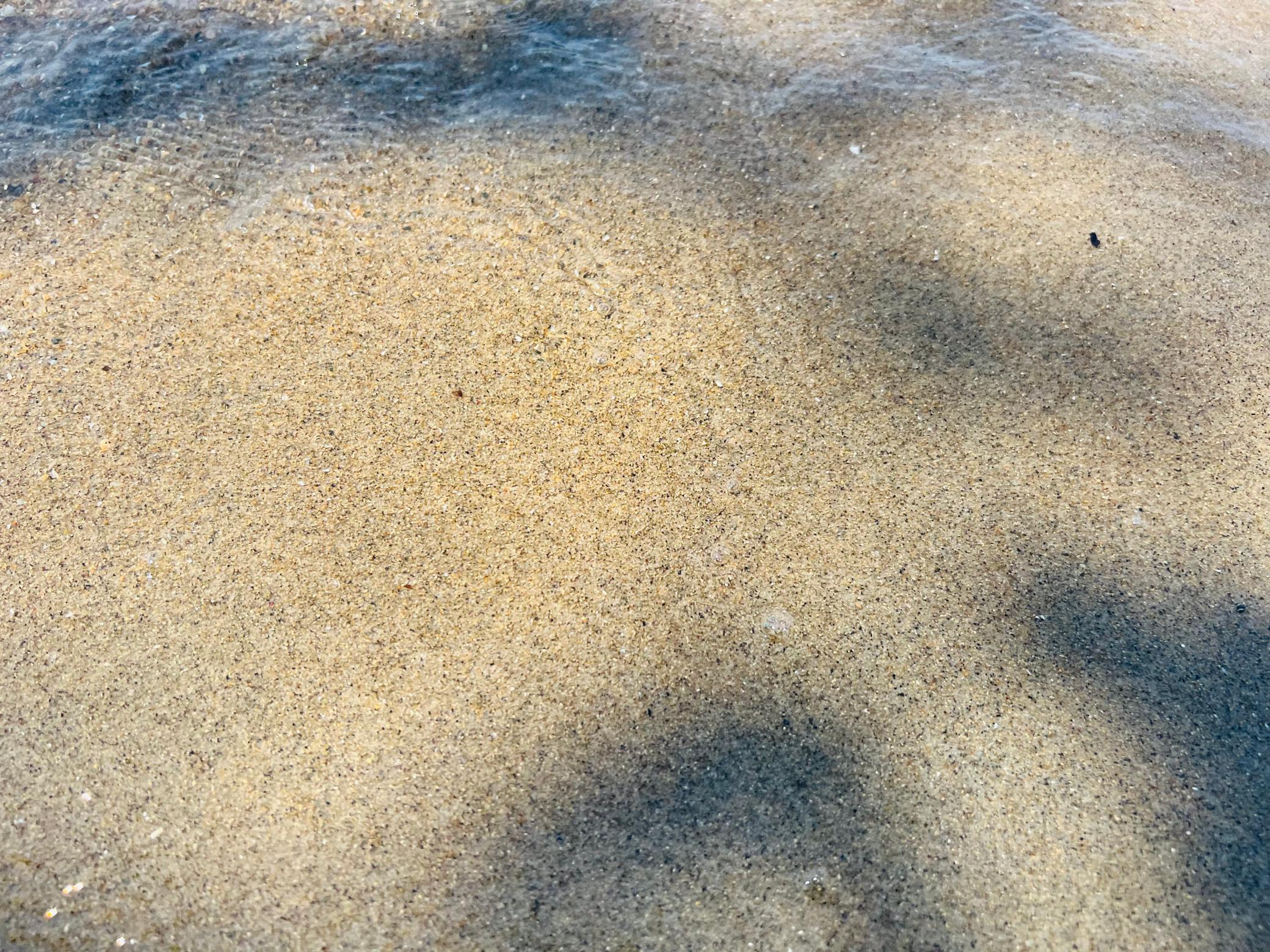 IMG_2103.jpeg