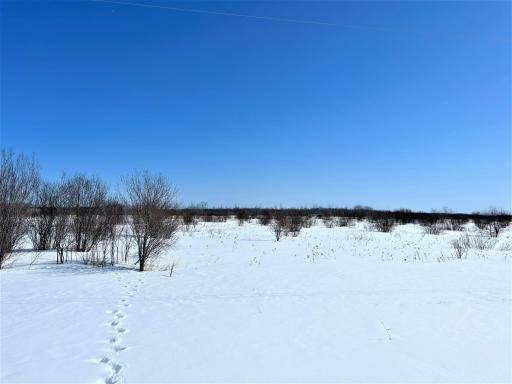 TBD 40th Avenue NW, Baudette, MN 56623