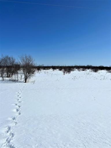 TBD 40th Avenue NW, Baudette, MN 56623