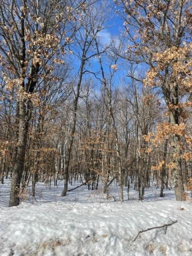 This level, wooded 2.8 acre lot provides a prime area to build your dream home. Emersed in the local wildlife, this lot is the perfect place to enjoy the scenery.
