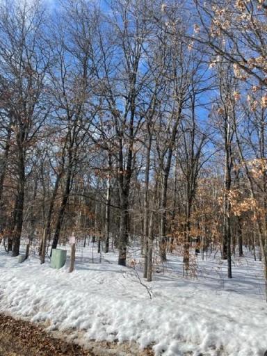 2.8 acres of quiet, wooded, buildable land without neighbors. Perfect area to build your dream home.