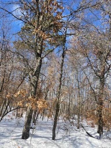 Lot B Silver Sands Road, Pine River, MN 56474