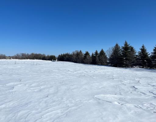 View from back of the lot looking at access road.