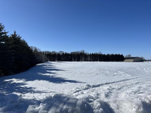 Level lot just waiting for you to break ground.