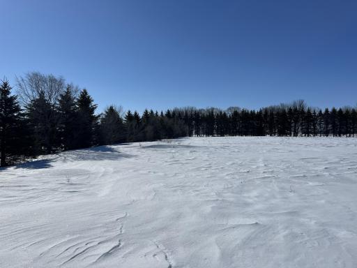 Looking back at the East and South end of the property.