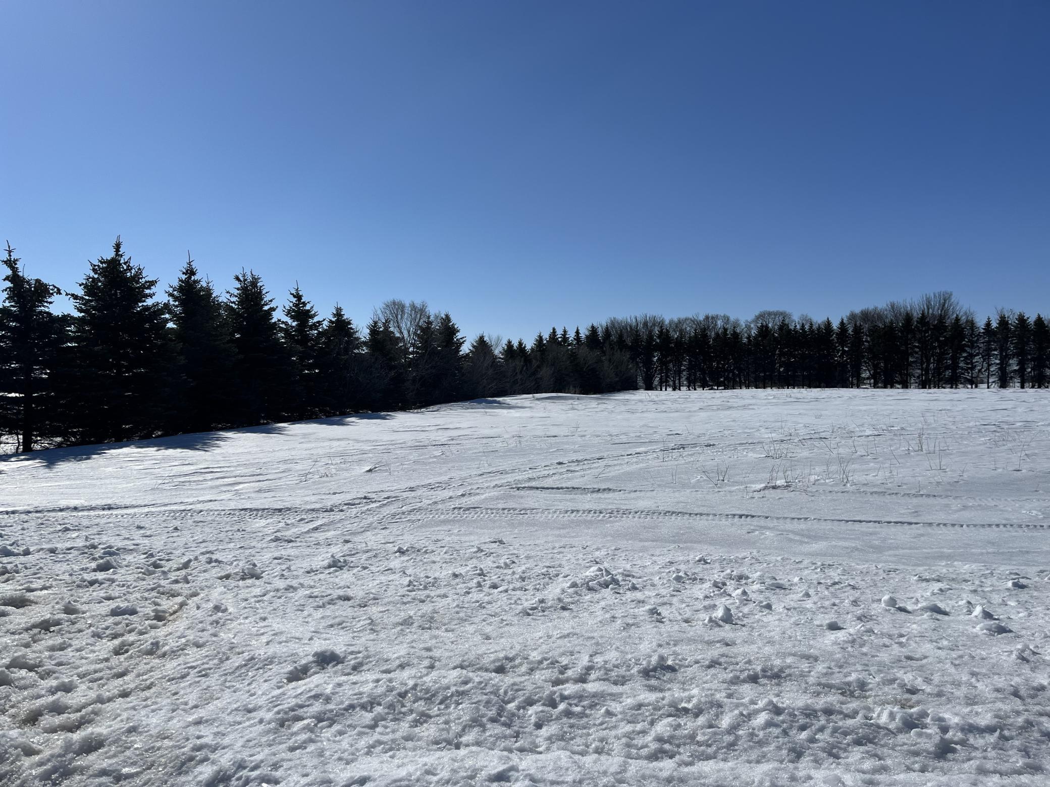 Beautiful 2-acre lot with convenient location to build your dream home.