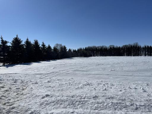 Beautiful 2-acre lot with convenient location to build your dream home.