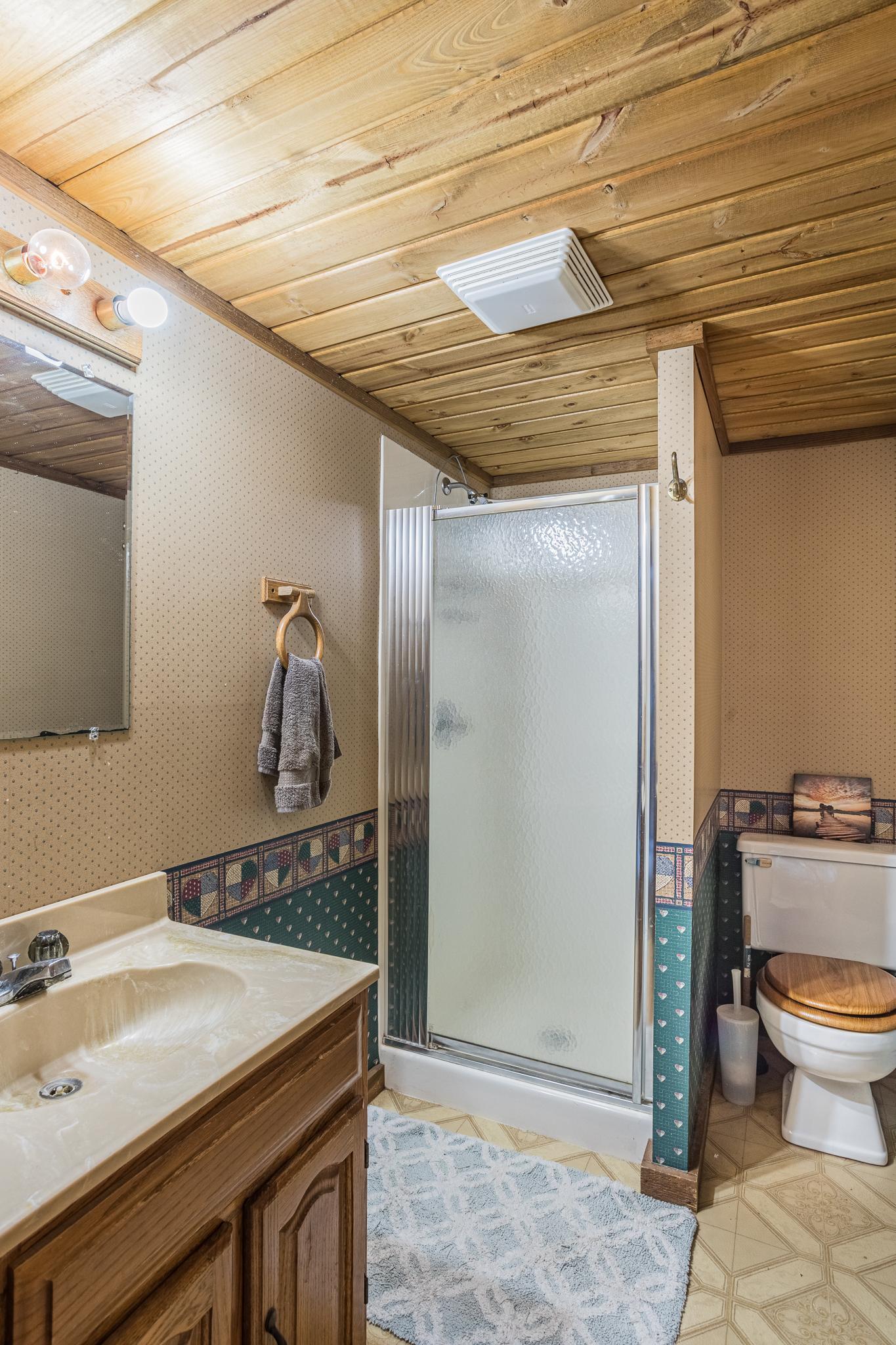 Basement Bathroom