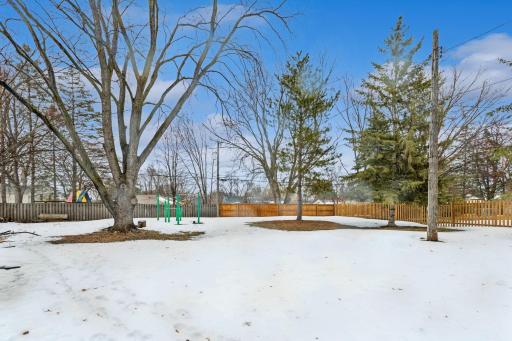 Fabulous back yard with a variety of mature trees