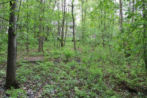 Can you image your home here. Center of lot