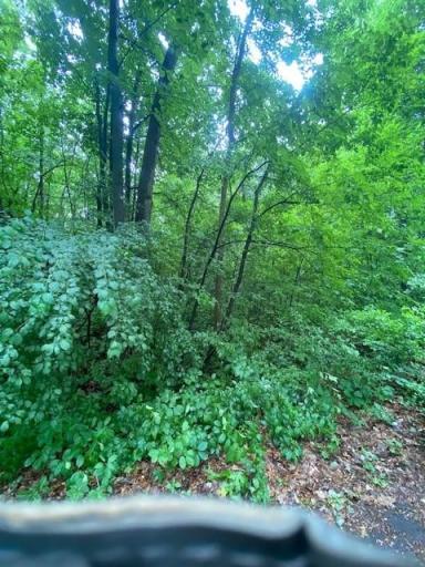 Photo for 530 8th Avenue NE, Pine City, MN 55063 - Listing #6350641 530 8th Avenue NE, Pine City, MN 55063