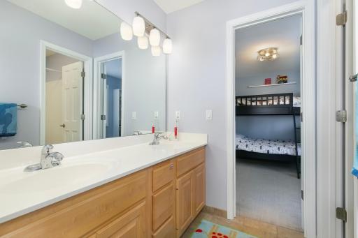 17562 Belfast Cove, Eden Prairie, MN 55347