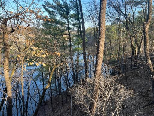 Wonderful View of the lake