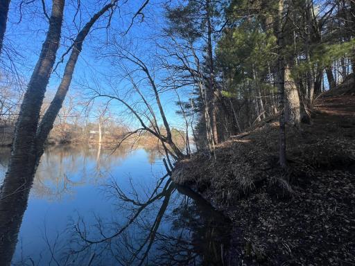 Common Element Lake Shore
