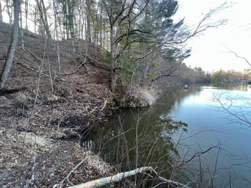 Common element lake shore