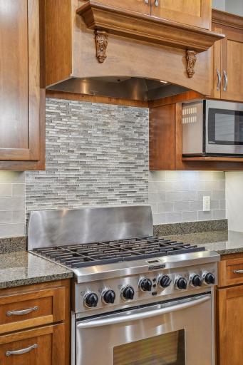 Commercial Gas Grill with Oven & Outdoor Vent Hood