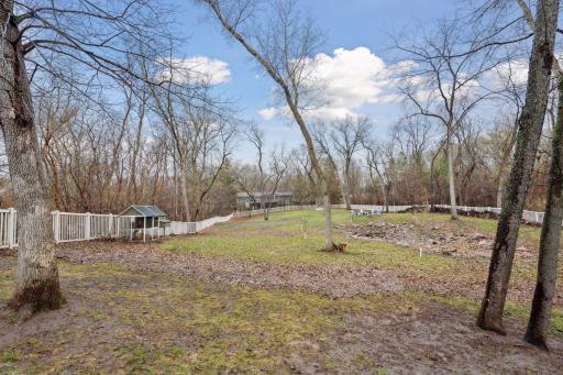 Expansive Fenced In Backyard with Vinyl Fencing and Mature Black Cherry, Walnut, Cottonwood, Oak & Maple Trees