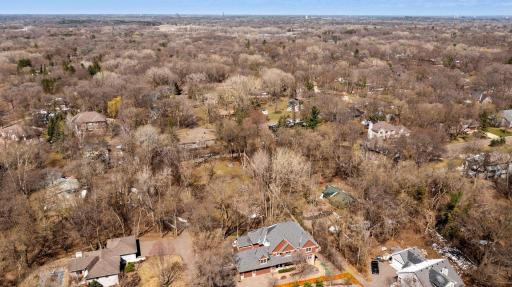 Plenty of Mature Tree Coverage for Privacy