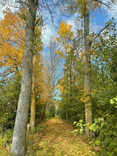 37237 Heath Drive, Pine River, MN 56474