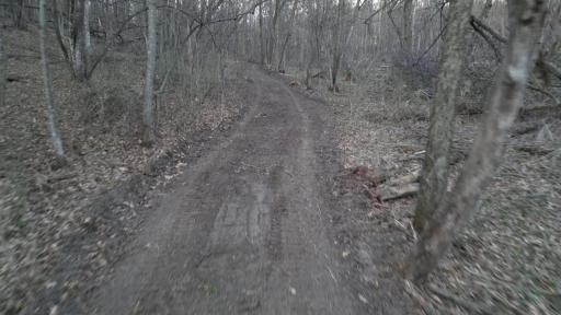 Trail2.jpg