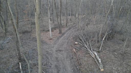 Trail1.jpg