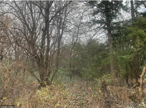 TBD SW 25th Street, Cokato, MN 55321