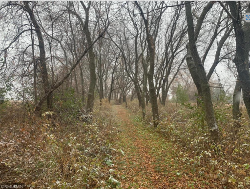 TBD SW 25th Street, Cokato, MN 55321