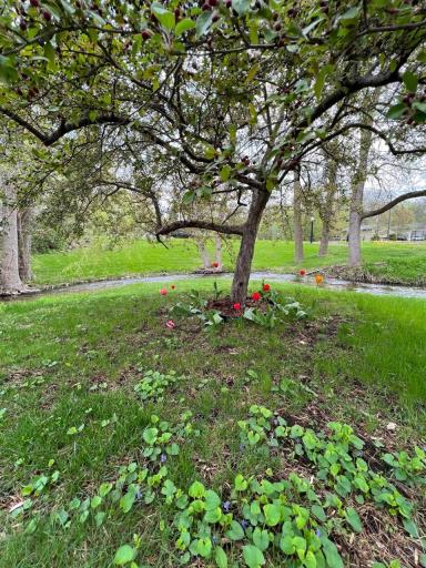 2965 Spring Lake Road SW, Prior Lake, MN 55372