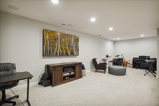16206 Draft Horse Boulevard, Lakeville, MN 55044