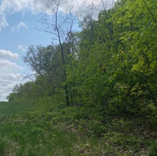 Roadside facing South