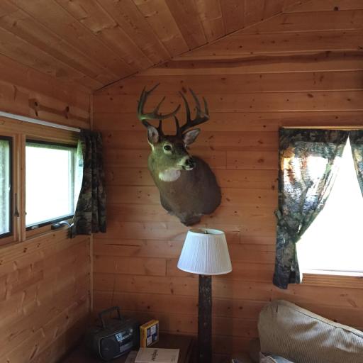 9991 61st Avenue SW, Motley, MN 56466