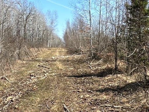 9991 61st Avenue SW, Motley, MN 56466