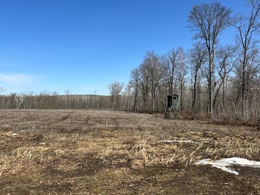 9991 61st Avenue SW, Motley, MN 56466