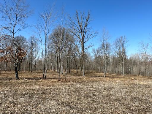 9991 61st Avenue SW, Motley, MN 56466