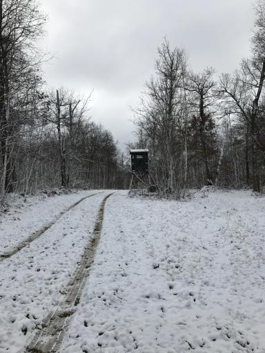 9991 61st Avenue SW, Motley, MN 56466