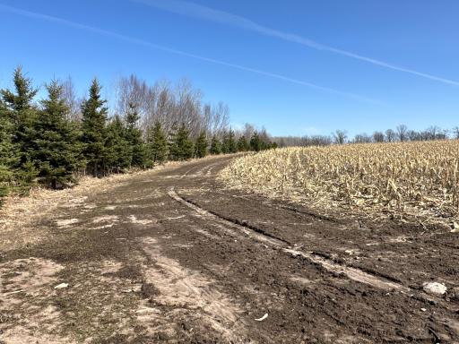 9991 61st Avenue SW, Motley, MN 56466